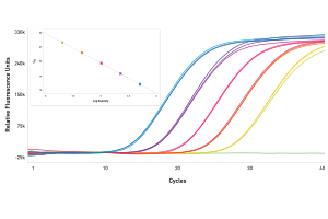 DNA or RNA Detection by qPCR chart