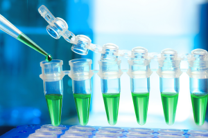 qPCR vials with green liquid